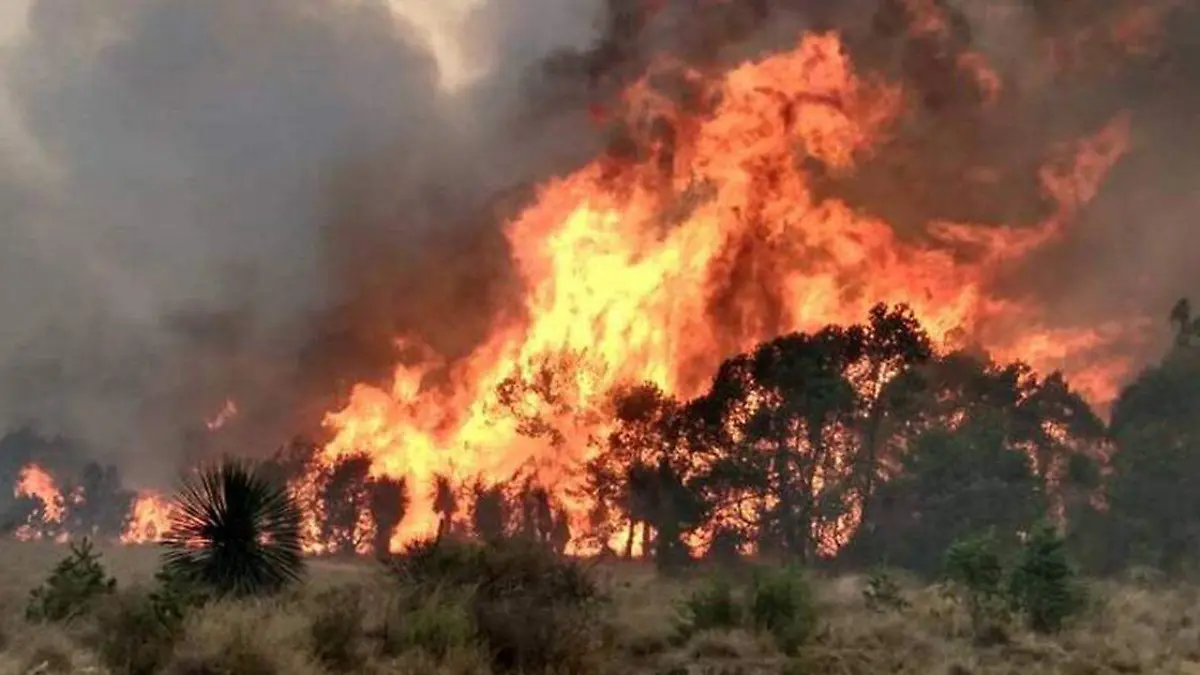 El municipio ha enfrentado incendios